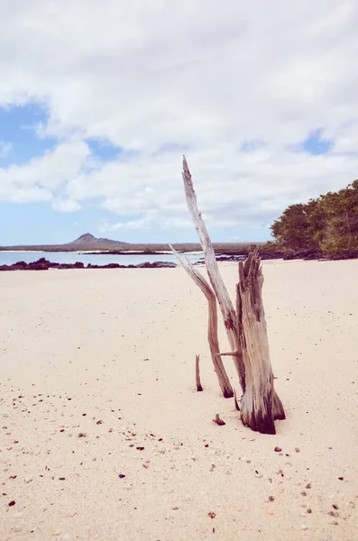 Παραλία Ένα Όμορφο Ακατοίκητο Νησί Επιλεκτική Εστίαση Χρωματική Τόνωση Εφαρμόζεται — Φωτογραφία Αρχείου