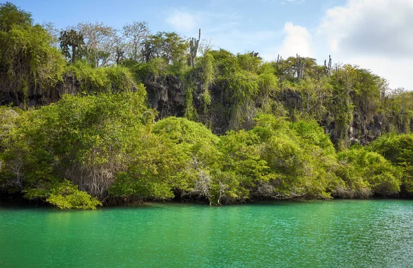 stock image Laguna de las Ninfas in Santa Cruz Island, Galapagos Islands, Ecuador.