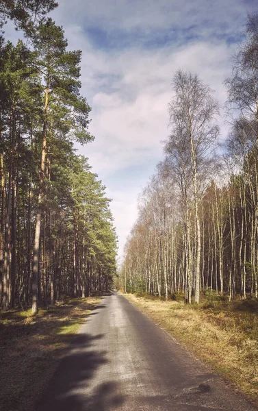 Φωτογραφία Ενός Δρόμου Ένα Δάσος Χρώμα Τόνωση Εφαρμόζεται Φωτογραφία Αρχείου
