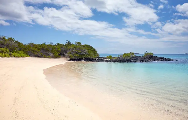 Playa Prístina Una Isla Deshabitada Islas Galápagos Ecuador Imágenes de stock libres de derechos