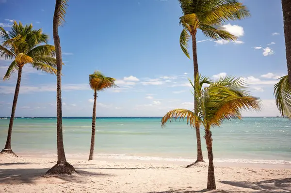 Όμορφη Τροπική Παραλία Φοίνικες Καρύδας Μια Ηλιόλουστη Μέρα Μεξικό Royalty Free Εικόνες Αρχείου