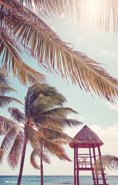 Cabaña Salvavidas Una Playa Tropical Tonificación Color Aplicada México Imágenes de stock libres de derechos