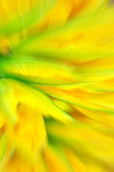 Foto Borrosa Flores Verdes Amarillas Fondo Colorido Abstracto Fondo Pantalla Fotos de stock