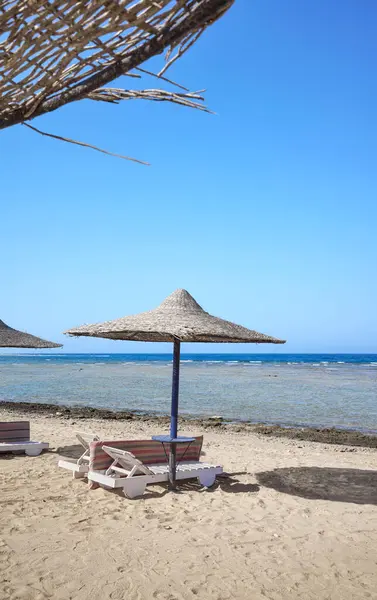 Hermosa Playa Arena Con Tumbonas Sombrillas Región Marsa Alam Egipto Imágenes De Stock Sin Royalties Gratis