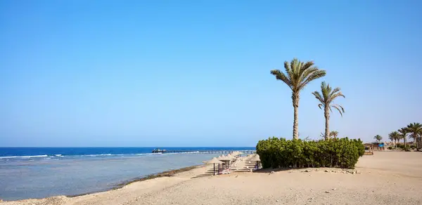 Hermosa Playa Región Marsa Alam Egipto Fotos De Stock