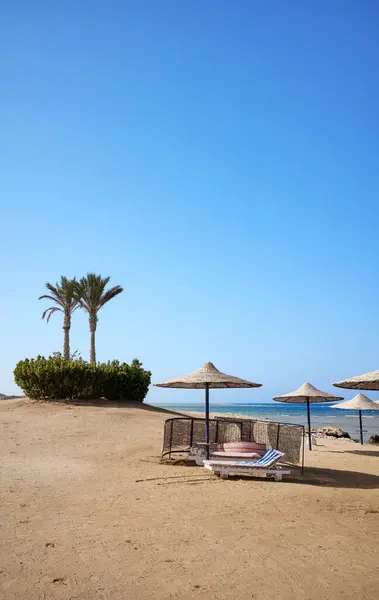 Hermosa Playa Arena Con Tumbonas Sombrillas Región Marsa Alam Egipto Imagen De Stock