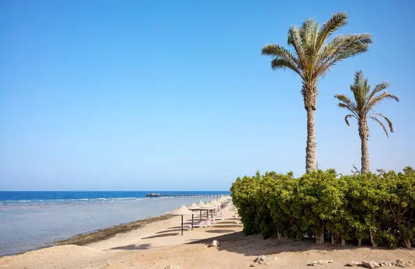 Hermosa Playa Arena Región Marsa Alam Egipto Imagen De Stock