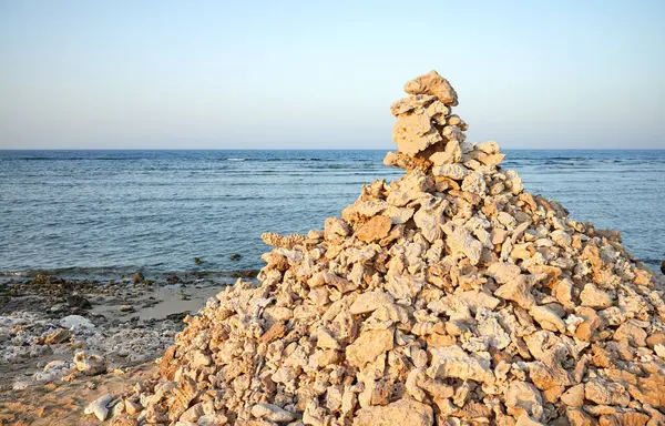 Pyramida Korálů Kamenů Pláži Selektivní Zaměření Egypt Stock Fotografie