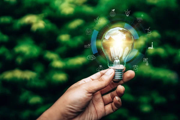エコロジーエネルギー効率コンセプト ぼやけた木の背景に自然に対する電球を握る手 ロイヤリティフリーのストック画像