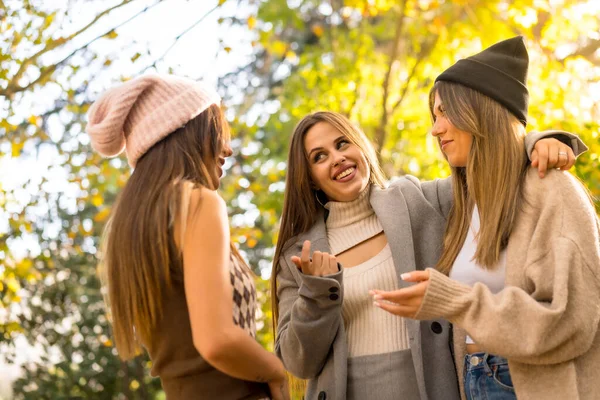 Freundinnen Unterhalten Sich Einem Park Herbst Bei Sonnenuntergang Lifestyle Und — Stockfoto