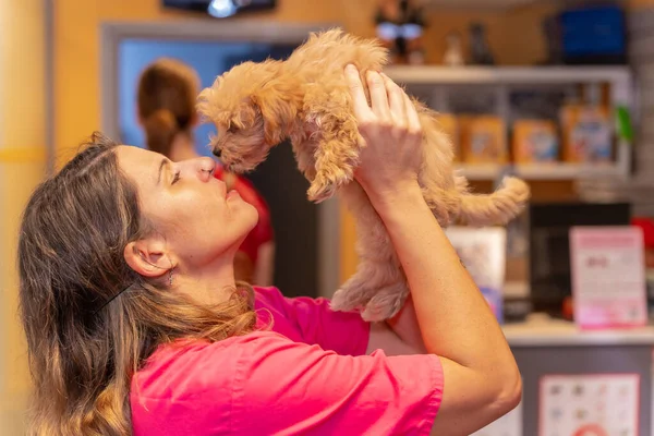 stock image Veterinary clinic, portrait of a female veterinarian with a small dog giving each other a kiss