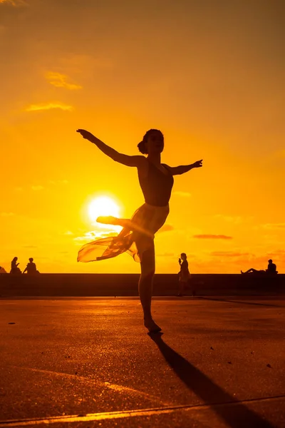 Силуэт Молодой Танцовщицы Пляже Закате Исполняющей Акробатику — стоковое фото