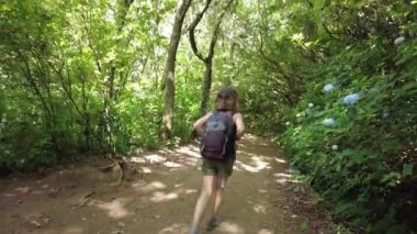 Trekking path next to the waterfall in the Levada do Caldeirao Verde, Queimadas, Madeira