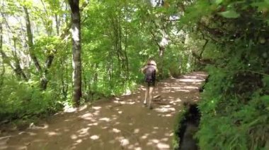 Trekking path next to the waterfall in the Levada do Caldeirao Verde, Queimadas, Madeira