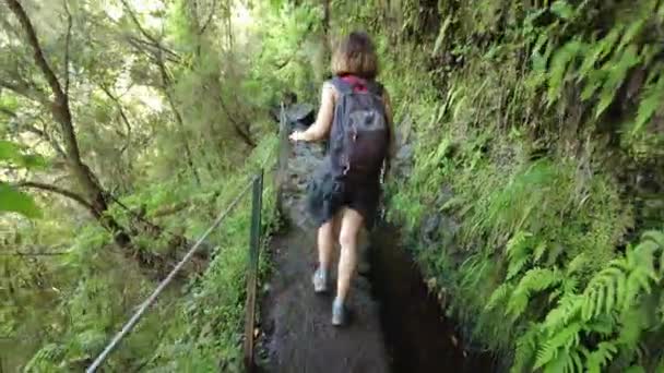 Trekking Path Next Waterfall Levada Caldeirao Verde Queimadas Madeira — 图库视频影像