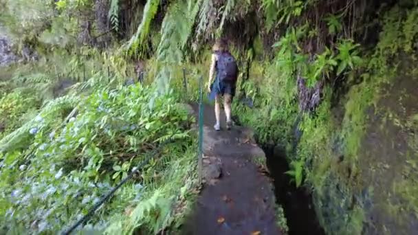 Trekking Path Next Waterfall Levada Caldeirao Verde Queimadas Madeira — Stockvideo