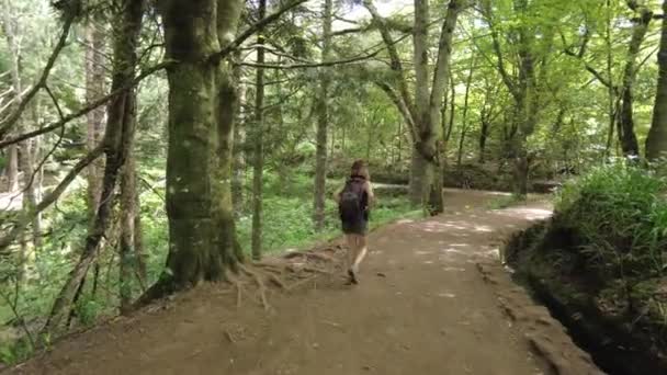 Trekking Path Next Waterfall Levada Caldeirao Verde Queimadas Madeira — Stok Video