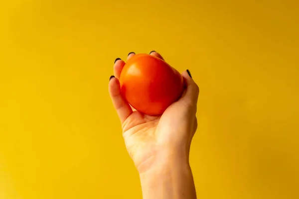 Woman\'s hand with a vegetable on a yellow background, healthy life, a beautiful tomato