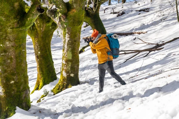 Photographer doing a trekking with a backpack taking pictures of a beech forest with snow, fun and winter hobbies