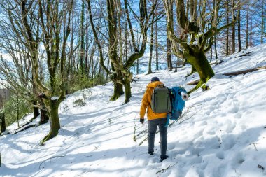 Hiker with two backpacks on a snow trek, winter adventures in a beech forest, free camping