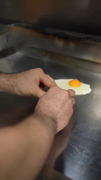 Cook Frying Fried Egg Griddle Kitchen Bar Restaurant — Stock Video
