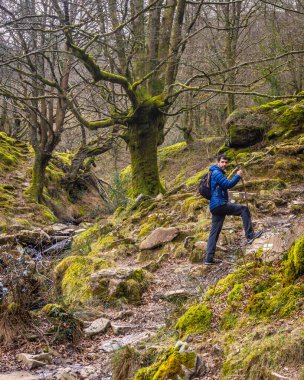 San Sebastian yakınlarındaki Guipuzcoan belediyesinde Adarra Dağı 'na çıkan kayın ormanlarından geçen bir adam. Bask Ülkesi