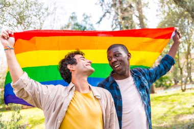 Çok ırklı eşcinsel erkek çift ellerinde gökkuşağı lgbt bayrağı, eğleniyorlar.