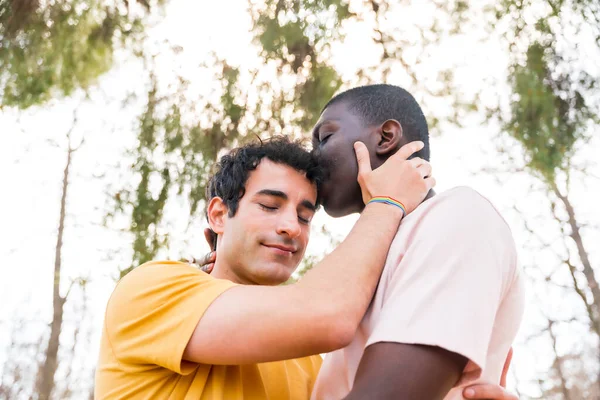 Lgbt的概念 一对多民族男人在公园里亲吻对方的额头 摆出浪漫的姿势 — 图库照片