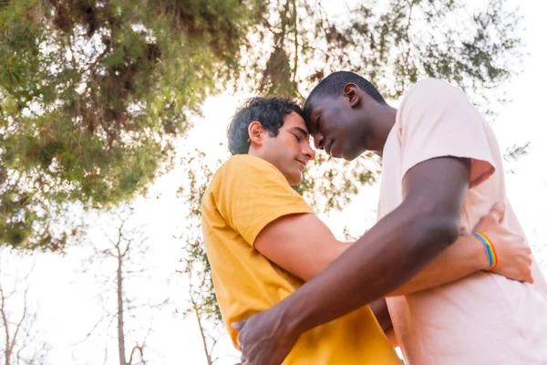 Lgbt Concept Paar Multiethnische Männer Einem Park Romantischer Pose Unter — Stockfoto