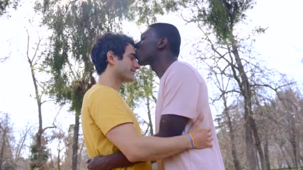 Lgbt Koncept Par Multietniska Män Park Romantisk Pose — Stockvideo