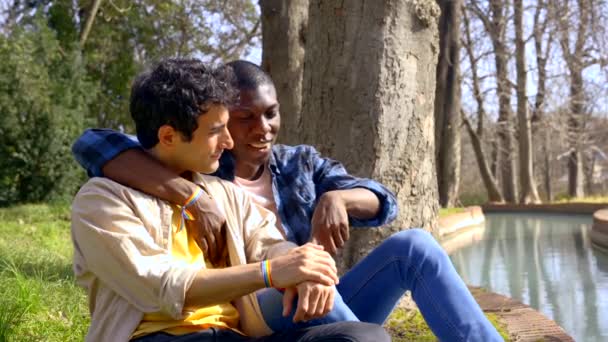 Couple Multiethnic Gay Men Talking Quietly Park Lgbt Concept — Stock Video