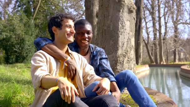 Pareja Gays Multiétnicos Hablando Tranquilamente Parque Concepto Lgbt — Vídeo de stock