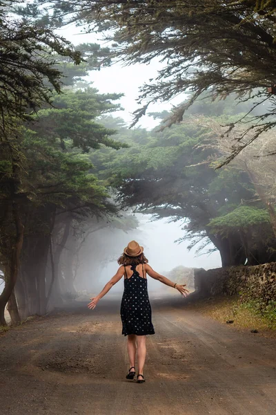 Una Donna Turistica Che Cammina Tra Alberi Nebbiosi Verso Foresta — Foto Stock