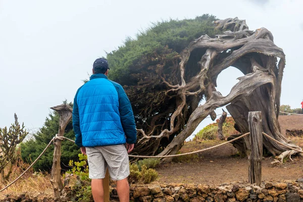 Человек Посетивший Сабинар Скрученный Ветром Эль Йерро Туманом Канарские Острова — стоковое фото