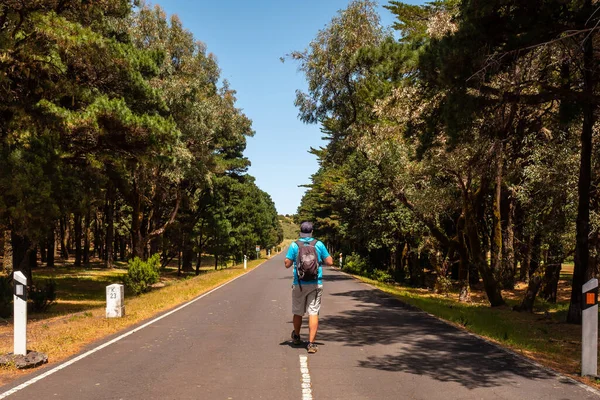 Montañista Caminando Por Carretera Trekking Llania Hierro Islas Canarias Heath — Foto de Stock