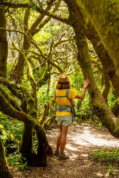 Молодая Девушка Гуляющая Эль Брезаль Влажный Лесной Парк Льяния Эль — стоковое фото