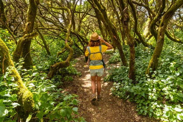 Молодая Девушка Идущая Эль Брезаль Влажный Лесной Парк Льяния Эль — стоковое фото