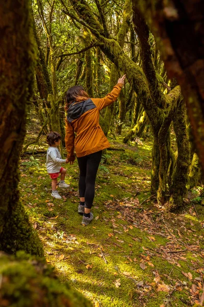 Mor Och Son Tittar Träden Medan Vandrar Naturparken Garajonay Gomera — Stockfoto