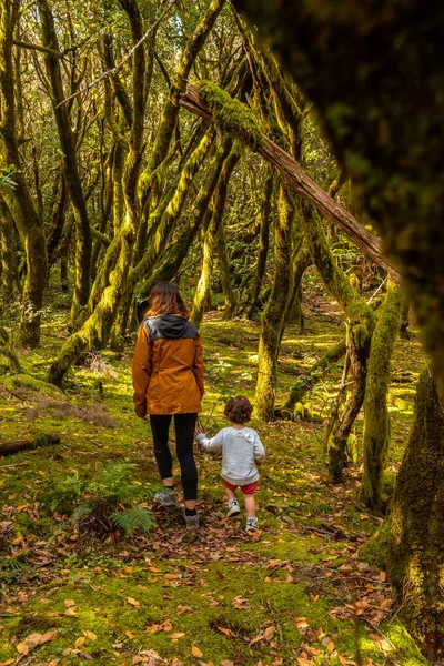 Mor Och Son Tittar Träden Medan Vandrar Naturparken Garajonay Gomera — Stockfoto