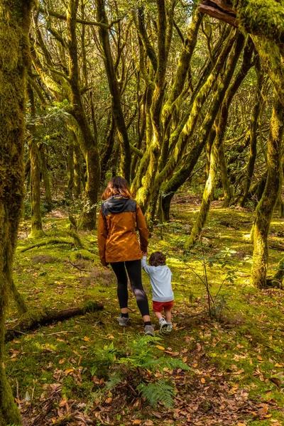 Mor Och Son Bredvid Träd Med Mossa Vandring Naturparken Garajonay — Stockfoto
