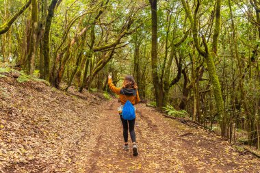 Garajonay Ulusal Parkı, La Gomera, Kanarya Adaları 'nın yosunlu ağaç ormanlarında yürüyen bir kadın.