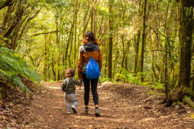 Anne ve oğlu Las Creces 'de yürüyüş yapıyor. Garajonay Ulusal Parkı, La Gomera, Kanarya Adaları' ndaki yosunlu ağaç ormanında.