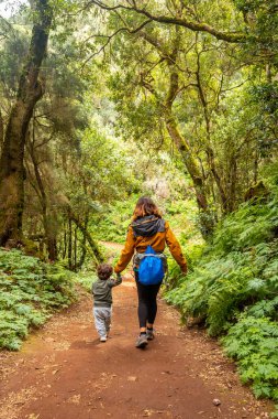 Anne ve oğlu, Kanarya Adaları, La Gomera 'daki Garajonay Ulusal Parkı' ndaki yosunlu ağaç ormanında yürüyüş yolunda. Las Creces gezisinde.