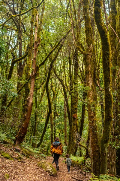 Mãe Com Seu Filho Trilha Floresta Nuvens Verdes Parque Nacional — Fotografia de Stock
