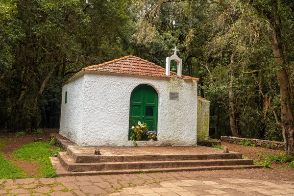 Hermitage Lourdes Próximo Córrego Cedro Floresta Nuvem Evergreen Garajonay National — Fotografia de Stock