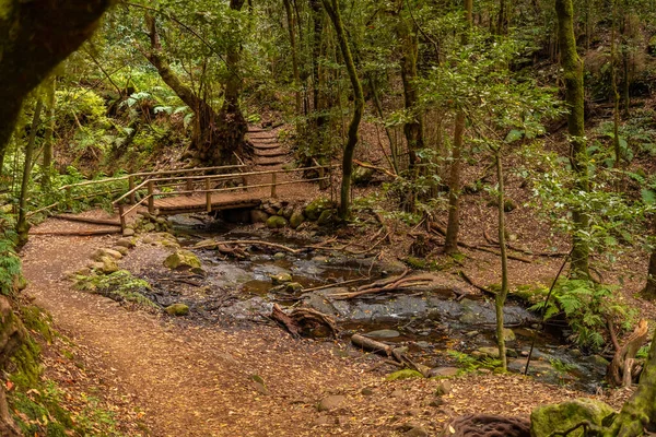 stock image Beautiful wooden bridge on the river next to Arroyo del Cedro in the evergreen cloud forest of Garajonay National Park, La Gomera, Canary Islands, Spain.