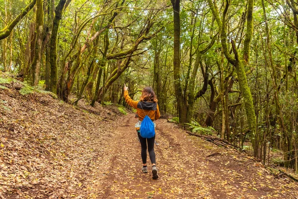 Mulher Caminhando Trilha Floresta Árvores Musgosas Parque Nacional Garajonay Gomera — Fotografia de Stock