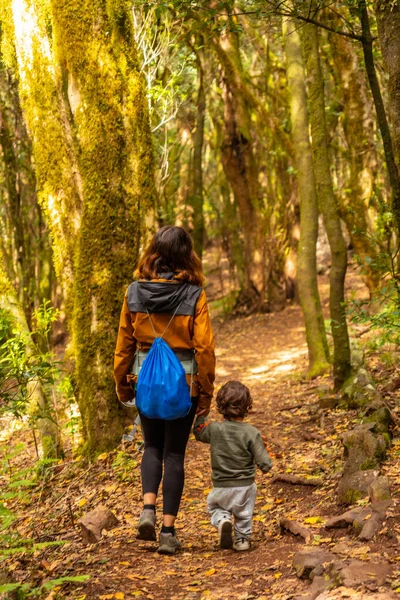 Äiti Poika Kävelemässä Las Creces Polkua Pitkin Garajonayn Kansallispuiston Sammalpuumetsässä — kuvapankkivalokuva