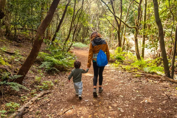 Μητέρα Και Γιος Περπατώντας Στο Μονοπάτι Στο Δάσος Βρύα Του — Φωτογραφία Αρχείου
