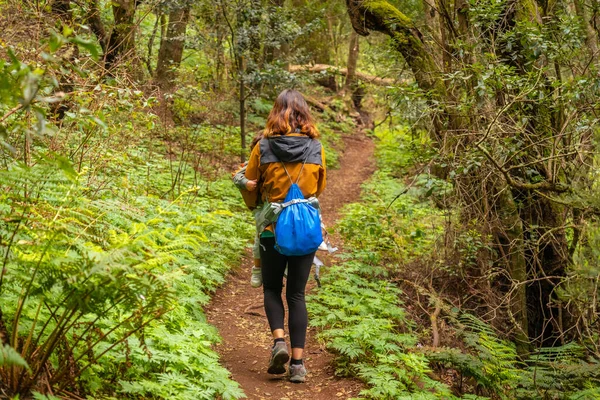 Mulher Caminhando Trilha Floresta Árvores Musgosas Parque Nacional Garajonay Gomera — Fotografia de Stock